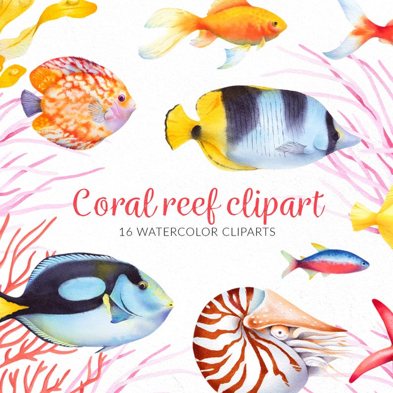 Pu&ograve; includere: Set di 16 illustrazioni di barriera corallina ad acquerello. Il set include una variet&agrave; di pesci colorati, una conchiglia di nautilus e coralli. Il testo "Coral reef clipart" e "16 watercolor clipart" &egrave; incluso nell'immagine.