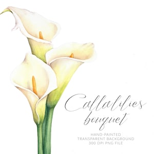 Clipart de lys calla. Bouquet de fleurs. Art calla PNG. Clipart aquarelle peint à la main. Téléchargement numérique. Utilisation commerciale.
