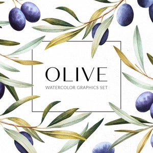 Olive branch clipart/Olive tree PNG/Patterns/Greenery/Olive graphics/Hand-painted watercolor clipart/Olive wreaths and borders
