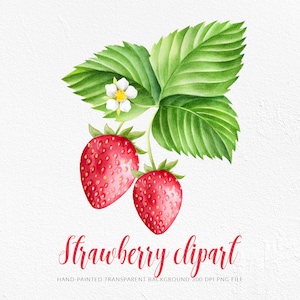 Strawberries clipart. Berries with leaves and flower clipart. Cute strawberry PNG. Hand-painted watercolor clipart. Digital download, PNG.