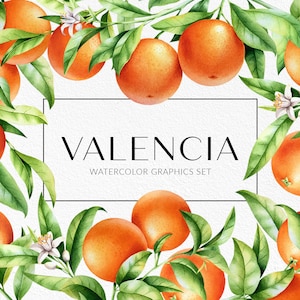 Orange branch clipart. Citrus tree clipart. Orange blossom. Hand-painted watercolor clipart. Digital download, PNG.