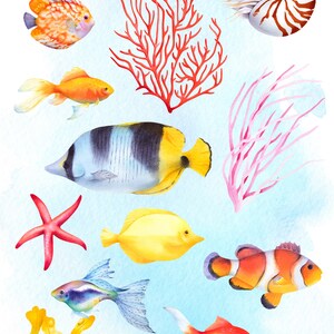 Pu&ograve; includere: Illustrazioni ad acquerello di varie creature marine e coralli. Il set include un pesce angelo blu e nero, un pesce rosso e arancione, un pesce giallo, un pesce pagliaccio, una stella marina, un guscio di nautilus, un corallo rosa, un corallo rosso e un corallo blu.