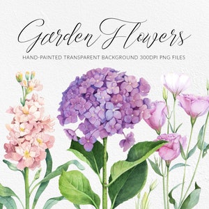 Clipart fleurs d'été. Hortensia, Eustoma, Stock de fleurs PNG. Clipart aquarelle peint à la main. Téléchargement numérique.