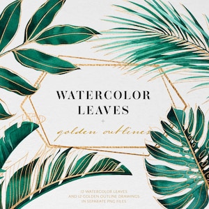 Watercolor tropical leaves. Tropical clipart. Exotic greenery PNG. Palm tree and monstera leaf clipart. Digital download. Commercial use.