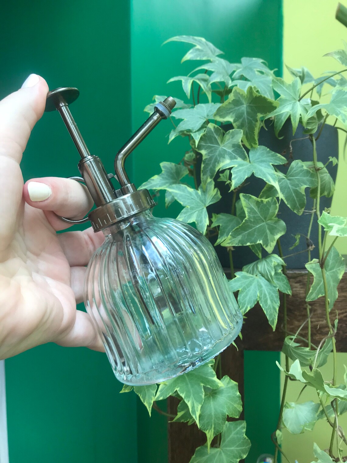 Glass watering can spray bottle house plants boho Etsy