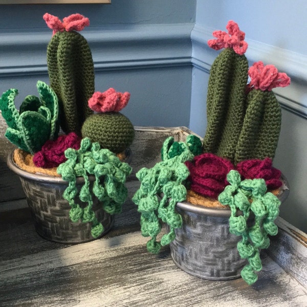 Crochet Succulent Arrangement