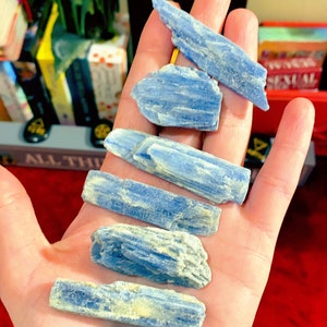 May include: A hand holds several raw, blue kyanite crystals. The crystals have a layered, fibrous appearance with varying shades of blue and some white inclusions. The background includes a red surface and other decorative items.