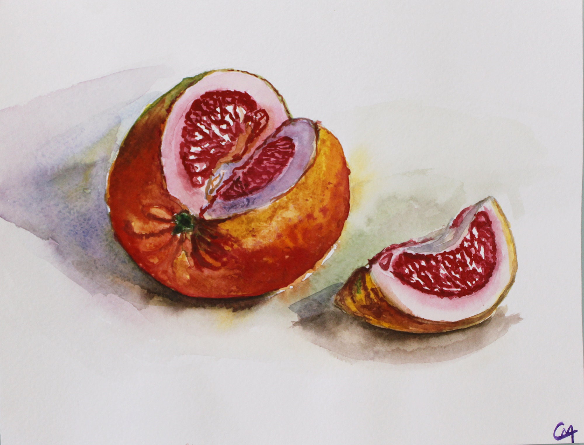 Grapefruit Painting Original Art Fruit Watercolor Still Life Etsy