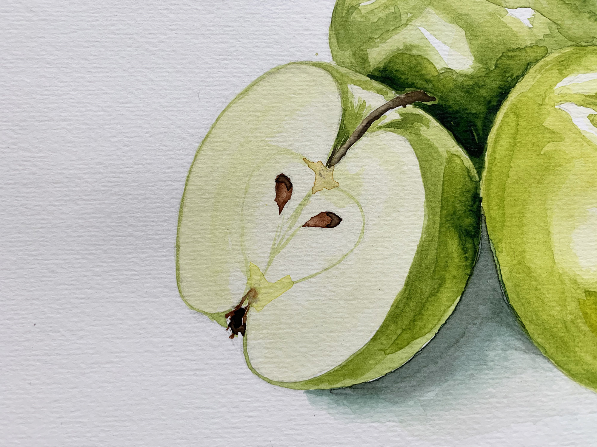 Green Apple Painting Watercolor Original Art Fruit Wall Art 8 Etsy