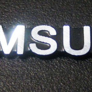 May include: A silver and black logo with the word "SAMSUNG" in all caps.