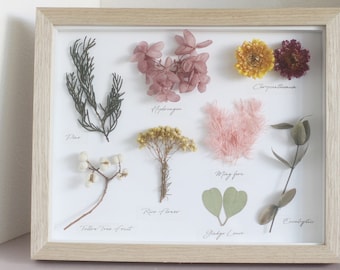 Herbarium Real Natural DriedFlower Specimen Frame for Home Decor, 3D Nature Wall/standing Frame, Dried flower frame, Gift for Natural Lover