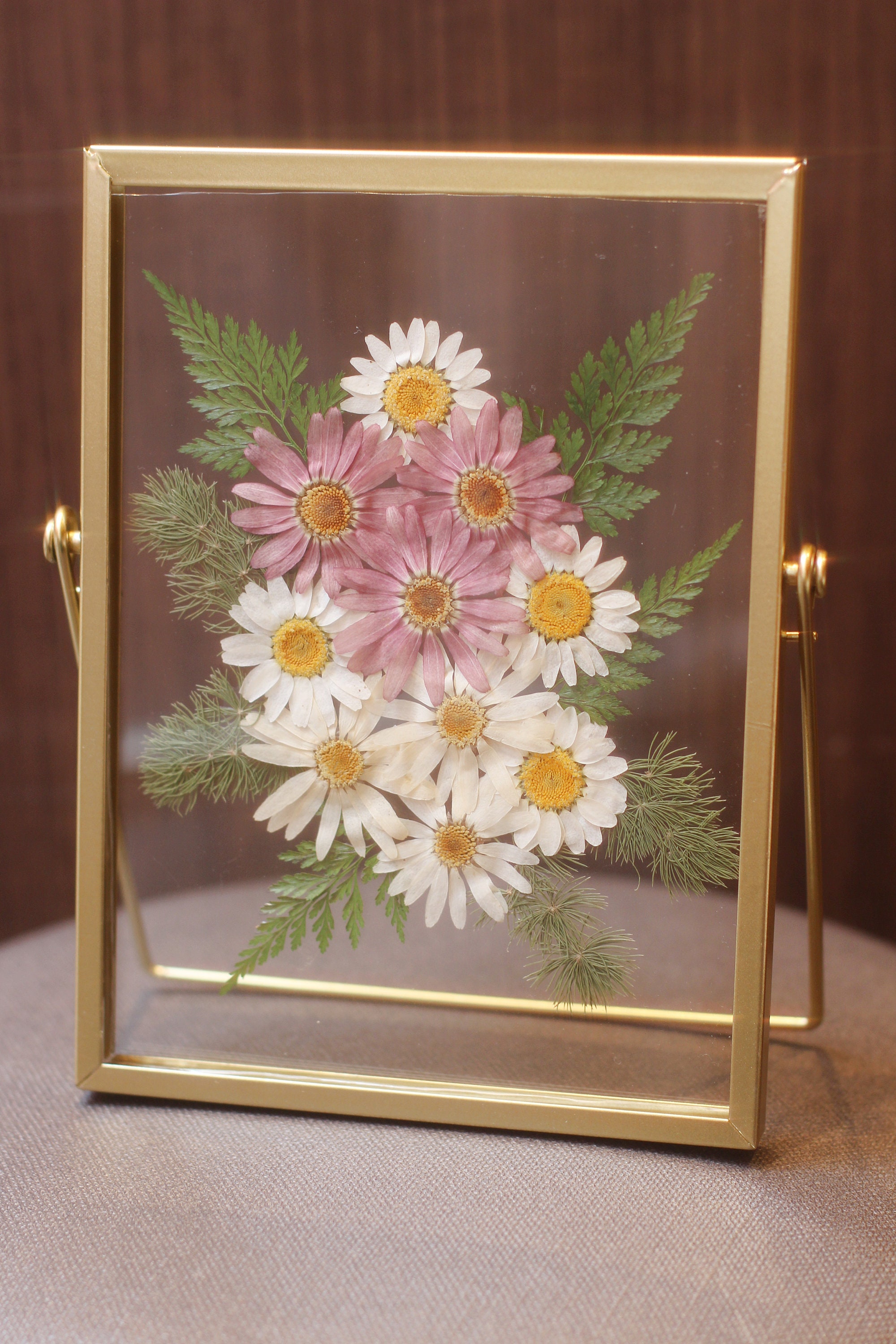 Cosmos Pressed Flower Herbarium Frame Floating Frame | Etsy
