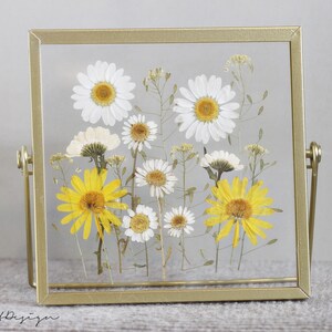 Pressed flower Herbarium frame, floral picture, Botanical frame, White & Yellow Herbarium frame, floral home decor, mother's day gift