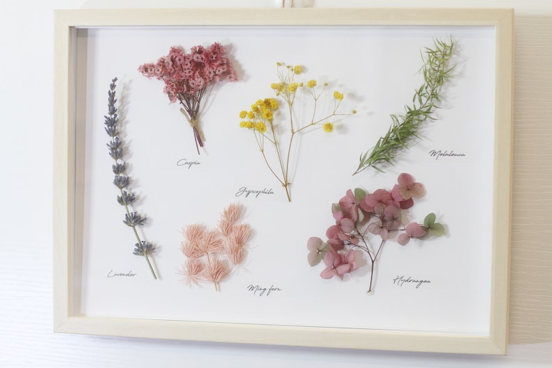 Herbarium Natural Dried Flower Frame Wall Decor 3D Nature Etsy