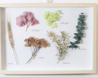 Herbarium Dried Natural Flower Frame Wall Decor, 3D Nature Wall Frame, Dried flower wall art, Dried flower frame, Gift for Natural Lover