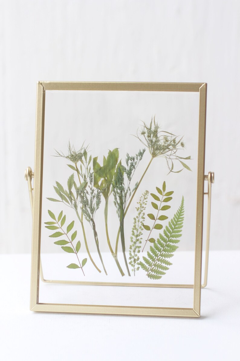 Herbarium Dried Flower Frame Pressed Flower Frame Pressed Etsy