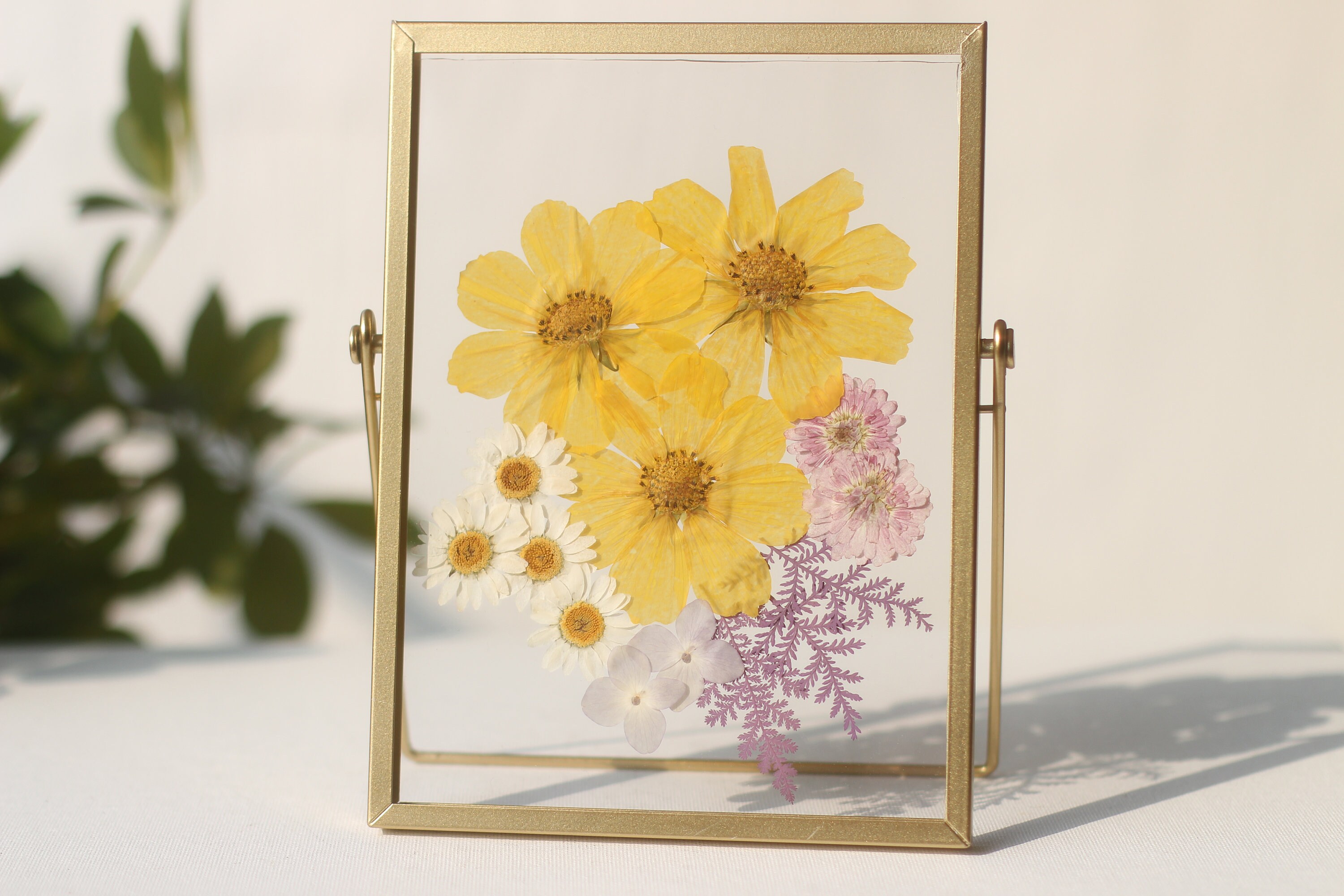 Pressed Flower Frame, Floating Frame, Botanical Frame, Herbarium Frame ...