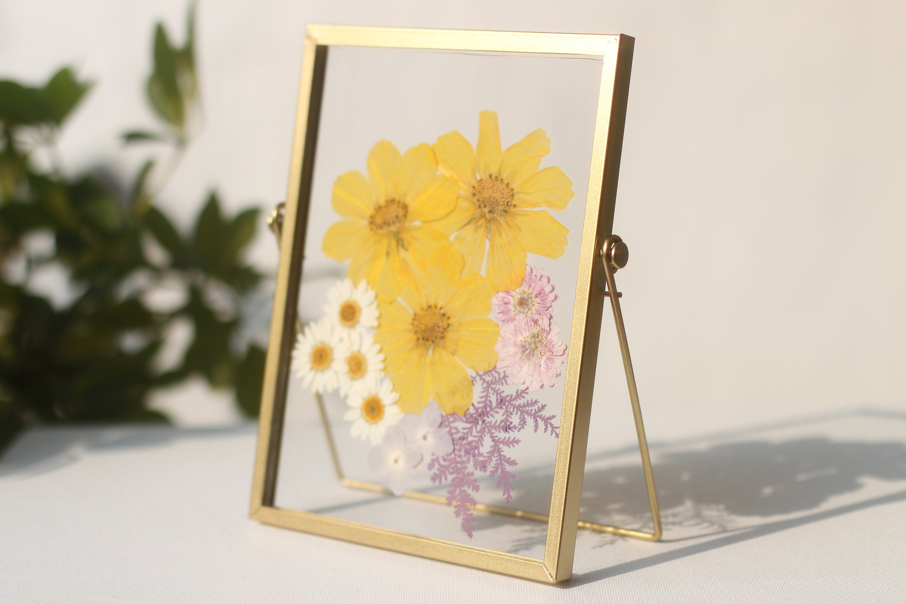 Pressed Flower Frame, Floating Frame, Botanical Frame, Herbarium Frame ...