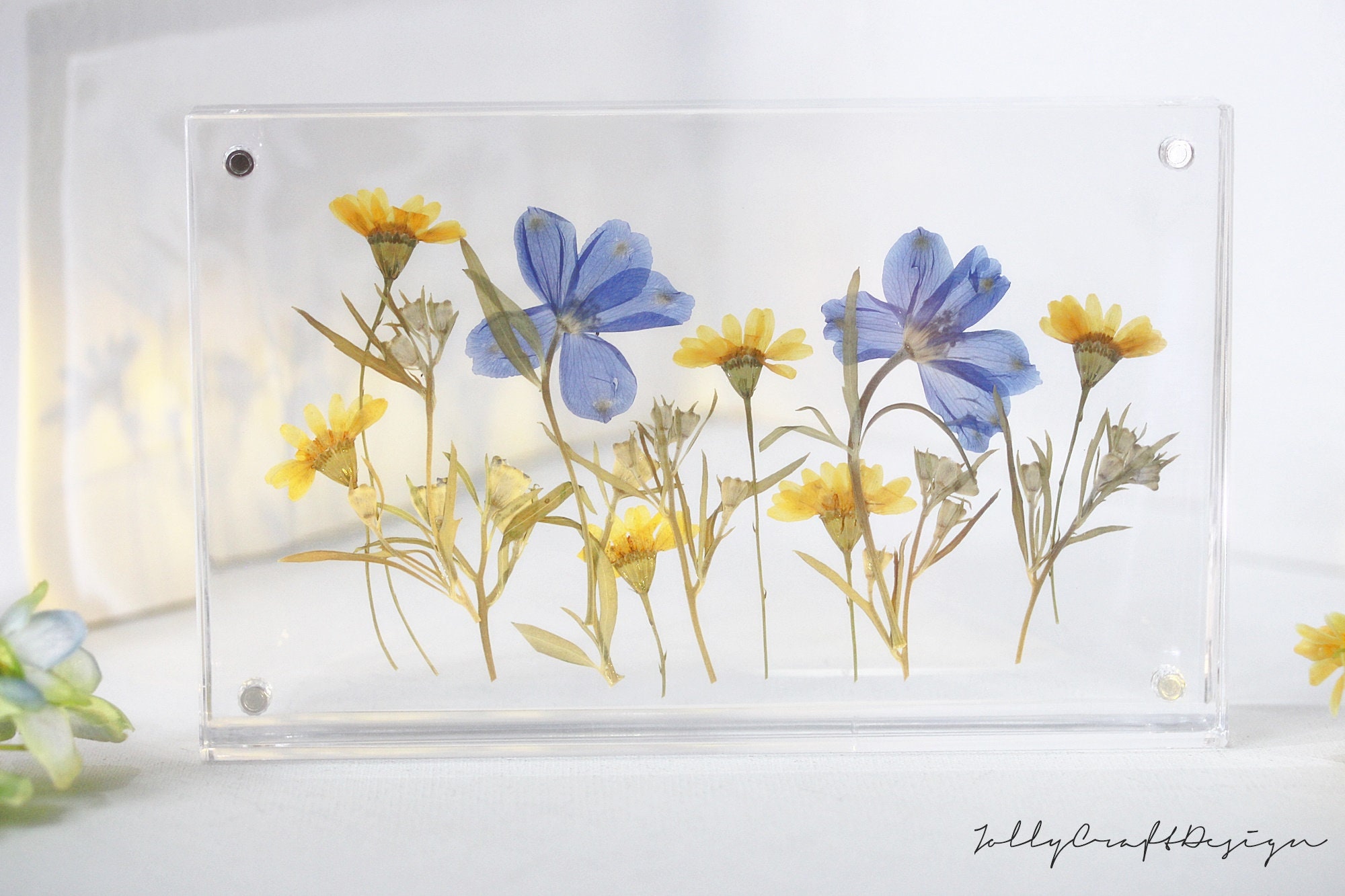 Mixed Pressed Flowers Acrylic Standing Frame, Pressed Flower