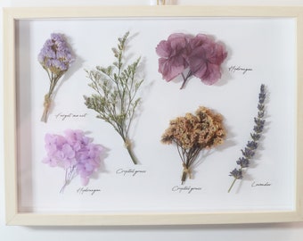 Herbarium Dried Natural Flower Frame Wall Decor, 3D Nature Wall Frame, Dried flower wall art, Dried flower frame, Gift for Natural Lover