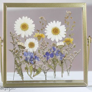 Pressed flower Floral art Herbarium frame, Floating frame, flower picture, Herbarium frame, floral gift, Mother's day birthday gift