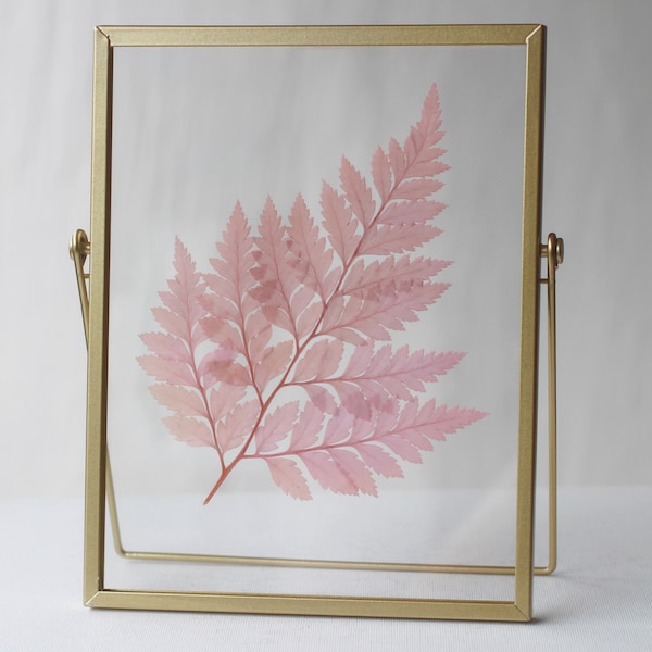 PINK LEAF Pressed flower frame, Pressed flower floating Frame, Pressed Dried pink leaf herbarium frame