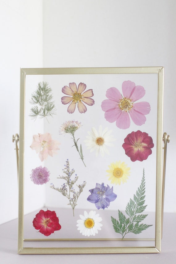 Pressed flower frame, Botanical Art Frame, pressed Rose flowers art, flower  gift collage, christmas present, gift for her, gift for mom