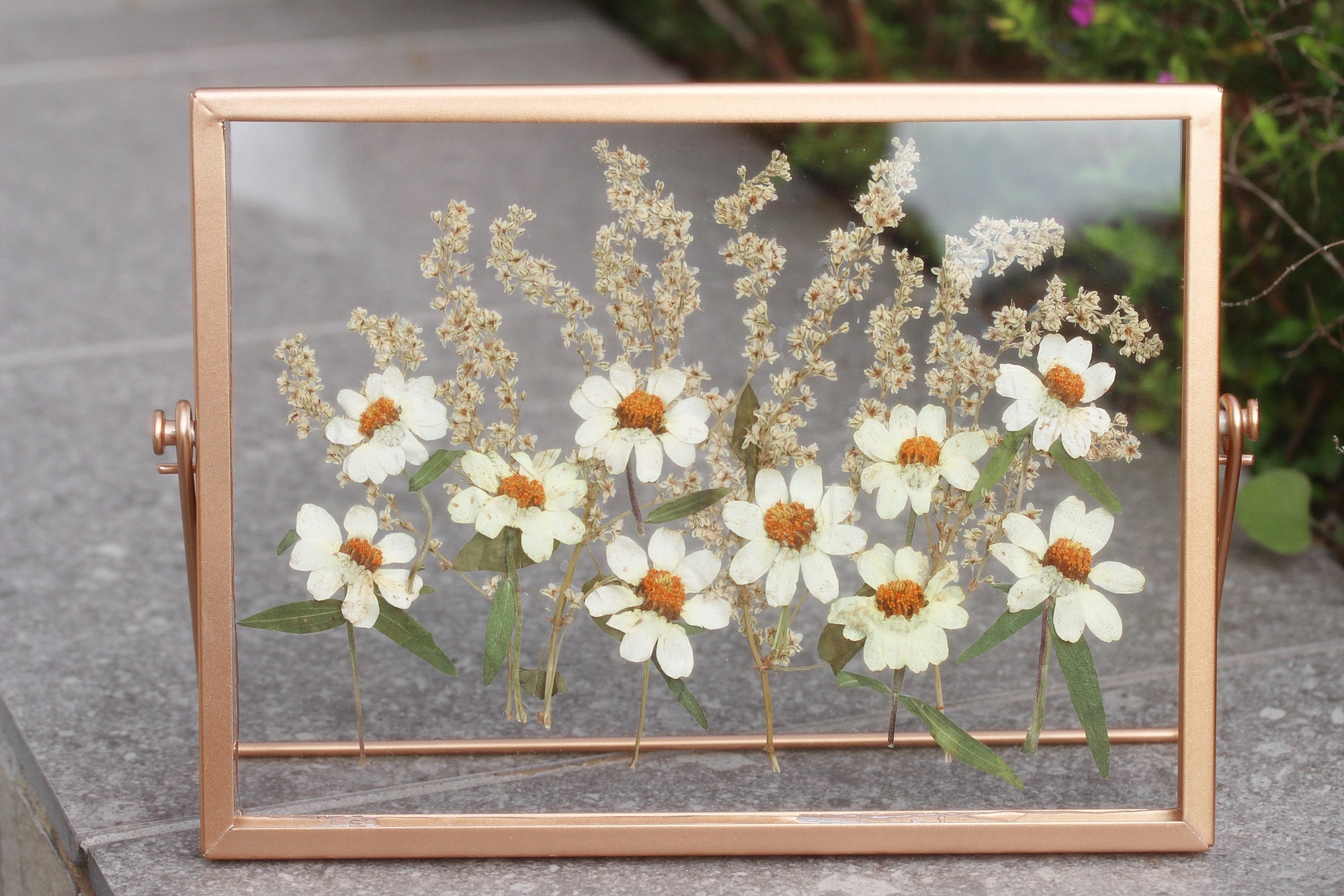 Pressed Flower Frame, Botanical Art Frame, Pressed Dried Flower Frame With  Crystal Clear Quality Acrylic Board Mixed Flower Bouquet 