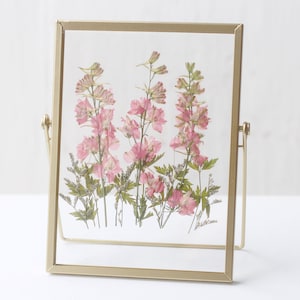 ＰＩＮＫ Moldura de flores secas prensadas coloridas, Moldura de flores prensadas, Moldura de herbário floral, Moldura flutuante de herbário com flores secas prensadas