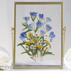 Blue Pressed flower Floral art Herbarium frame, Floating frame, flower picture, Herbarium frame, floral gift, Mother's day birthday gift