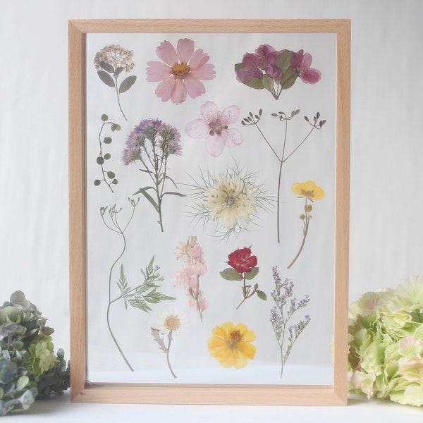 Large size Real Dried Pressed flowers frame , Herbarium botanical floating Frame, Pressed Flower art frame, Home Decor frame birthday gift