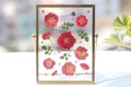 Pressed flower frame, Pressed Dried Flower frame, Floating frame with pressed dried flower birthday gift