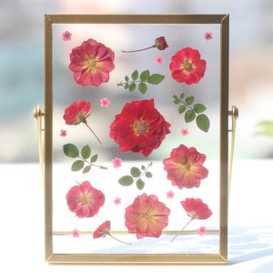 Pressed flower frame, Pressed Dried Flower frame, Floating frame with pressed dried flower birthday gift