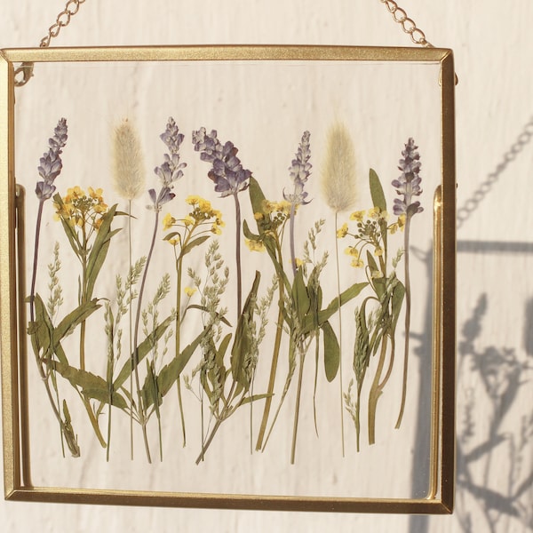 Pressed herbs and flowers hanging / standing frame, Pressed herbs and flowers hanging standing frame, Herbarium hanging pressed flower frame