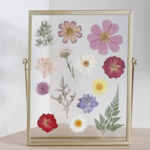 Blumenrahmen Gepresste Blume Herbarium Rahmen, Gepresste Blume botanischer Floating Rahmen, Geburtstagsgeschenk, Wohndekor
