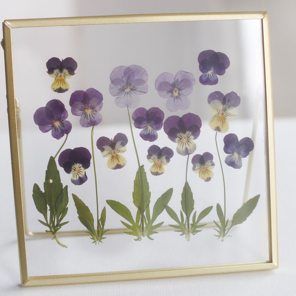 Pressed flower frame, Botanical Art Frame, Pressed Dried Flower frame with crystal clear quality acrylic board Purple Pansies
