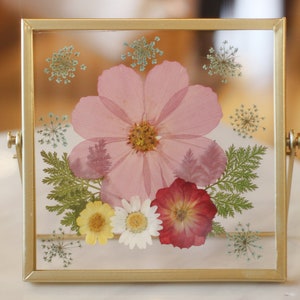 Pressed flower frame, Botanical Art Frame, Pressed Dried Flower frame with crystal clear quality acrylic board Pink Cosmos