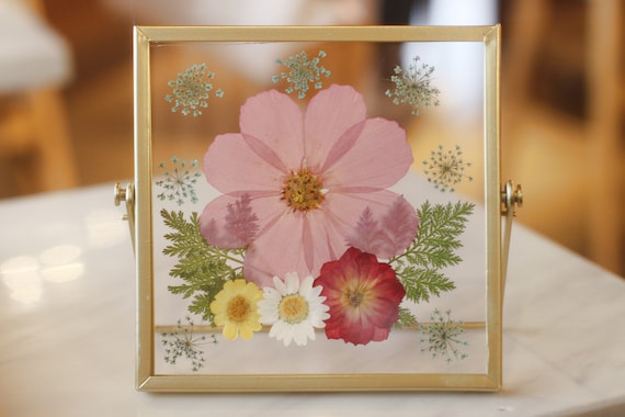 Pressed Flower Frame, Botanical Art Frame, Pressed Dried Flower Frame With  Crystal Clear Quality Acrylic Board Pink Cosmos 