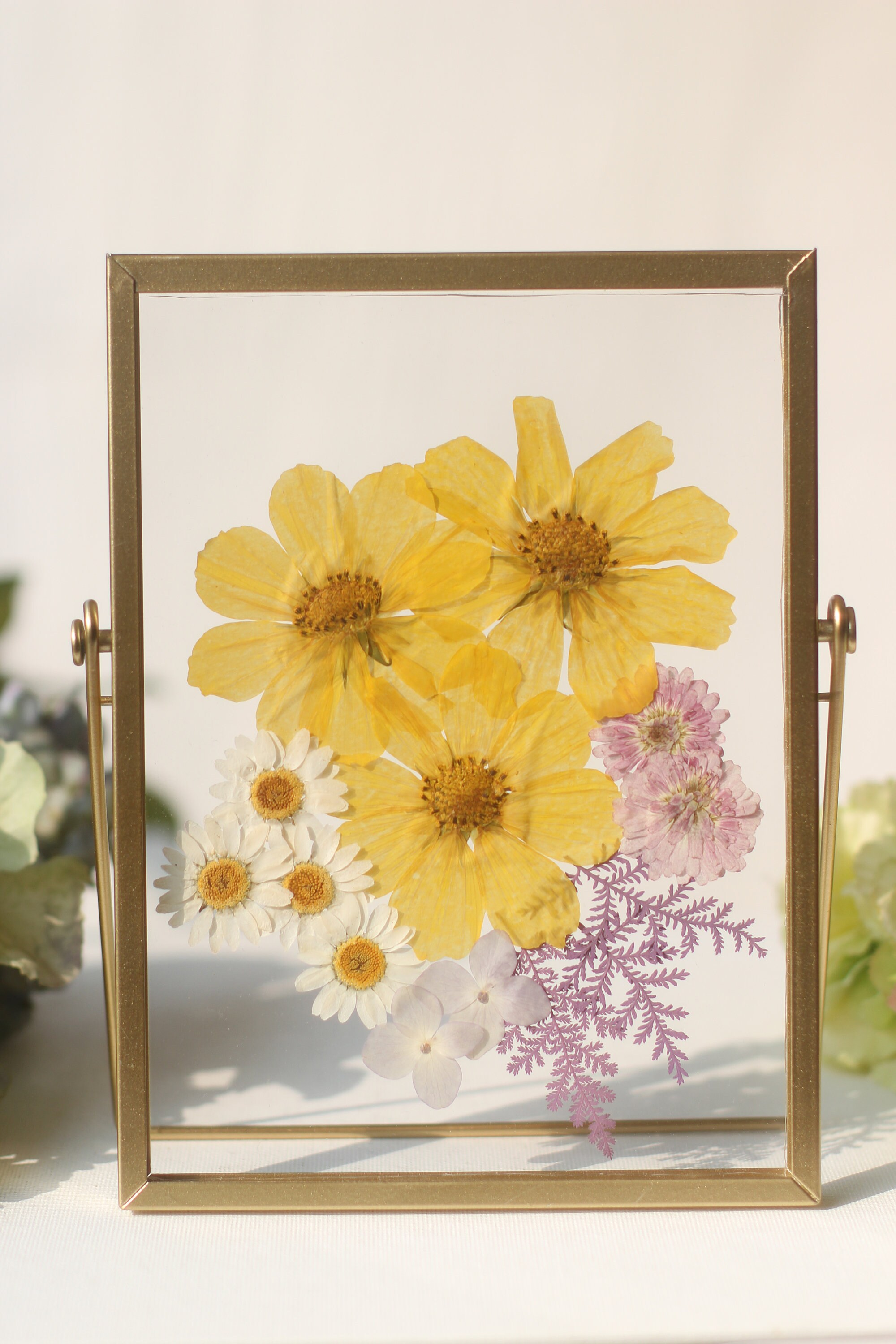 Pressed Flower Frame, Floating Frame, Botanical Frame, Herbarium Frame ...