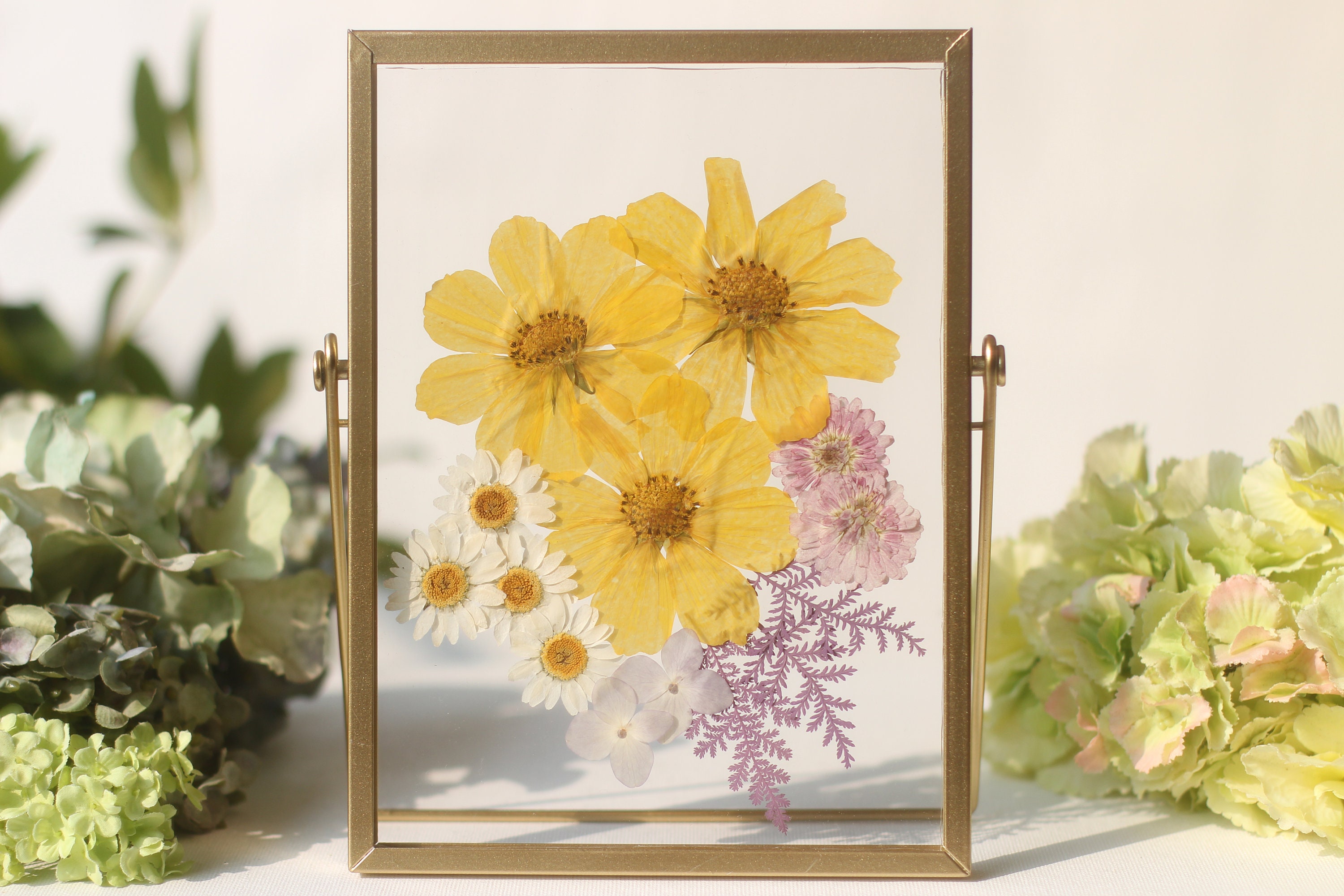 Pressed Flower Frame, Floating Frame, Botanical Frame, Herbarium Frame ...