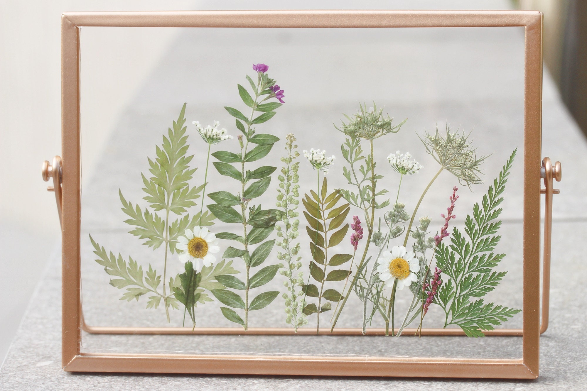 Framing Pressed Flowers Between Glass - Happy Happy Nester