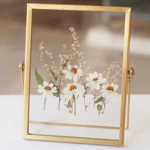 Pressed Flower Dried flower frame, Pressed flower frame, Pressed Dried Flower frame with crystal clear acrylic board