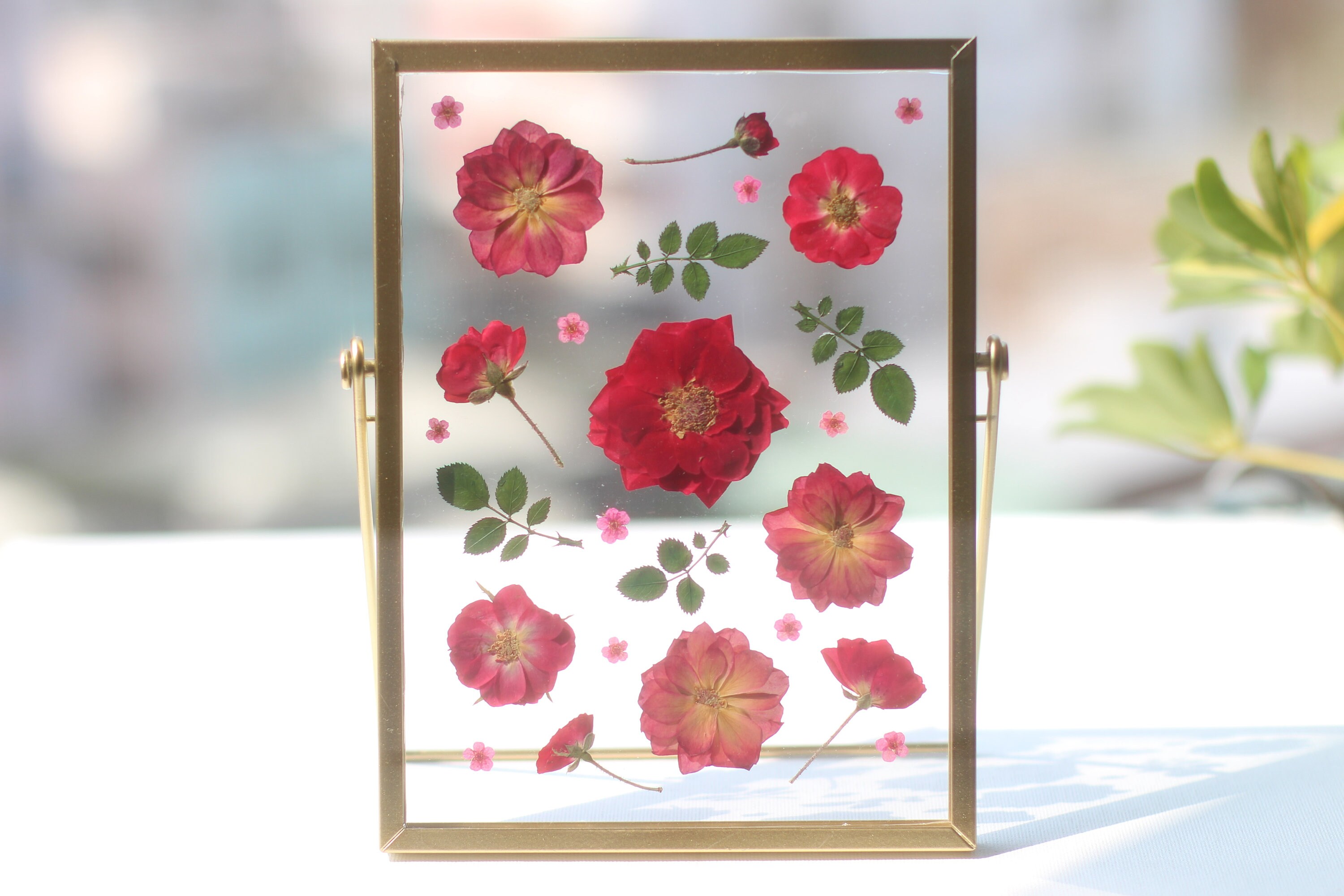 Pressed Flower Frame, Botanical Art Frame, Pressed Rose Flowers Art, Flower  Gift Collage, Christmas Present, Gift for Her, Gift for Mom 