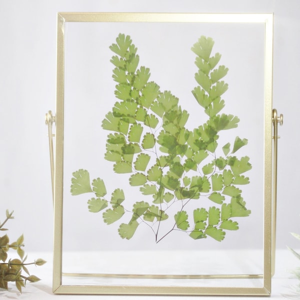 Hand Pressed Dried Pressed flower frame, Herbarium Frame, Flower floating frame, Birthday gift, Home decor, gift for her