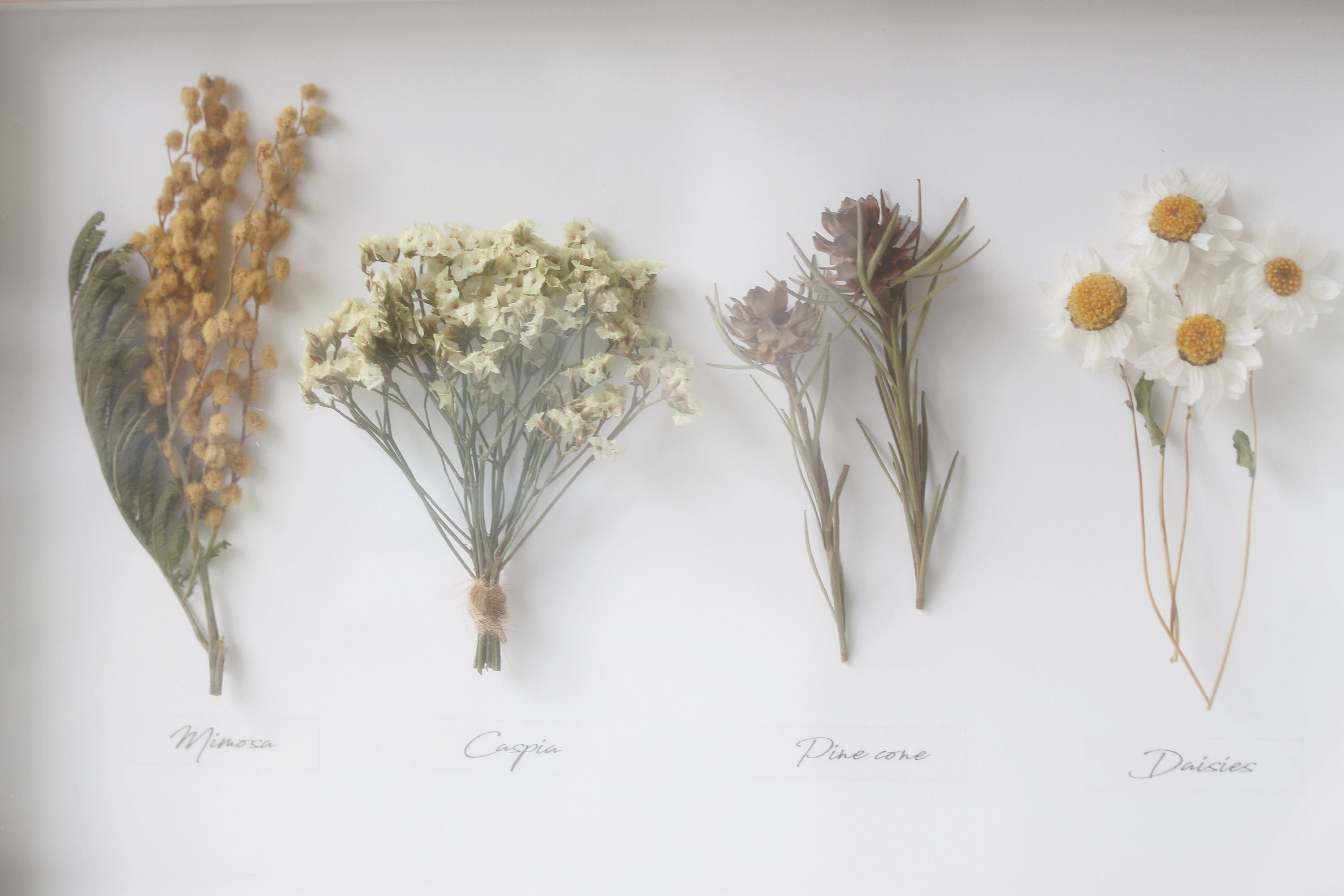 Herbarium Real Dried Natural Flower Standing/hanging Frame Etsy