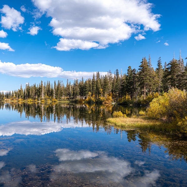 Fall Foliage at Twin Lakes, Mammoth Lakes, Sierra Nevada Autumn Landscape, Digital Photography, Lake Reflections, Fall Colors, Canvas Print