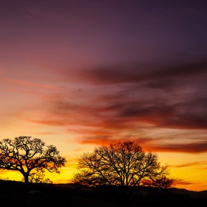 Colorful Sunset, Paso Robles landscape, digital download.