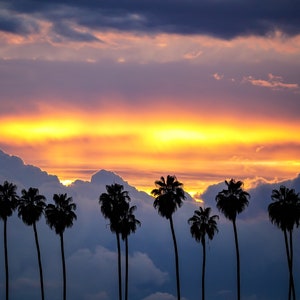 Stormy colorful Californian Sunset, Redlands Palm Trees, California Landscape, Fine Art Photography, Digital Download