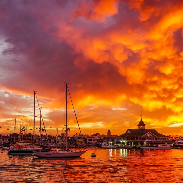 Balboa Island Art Etsy