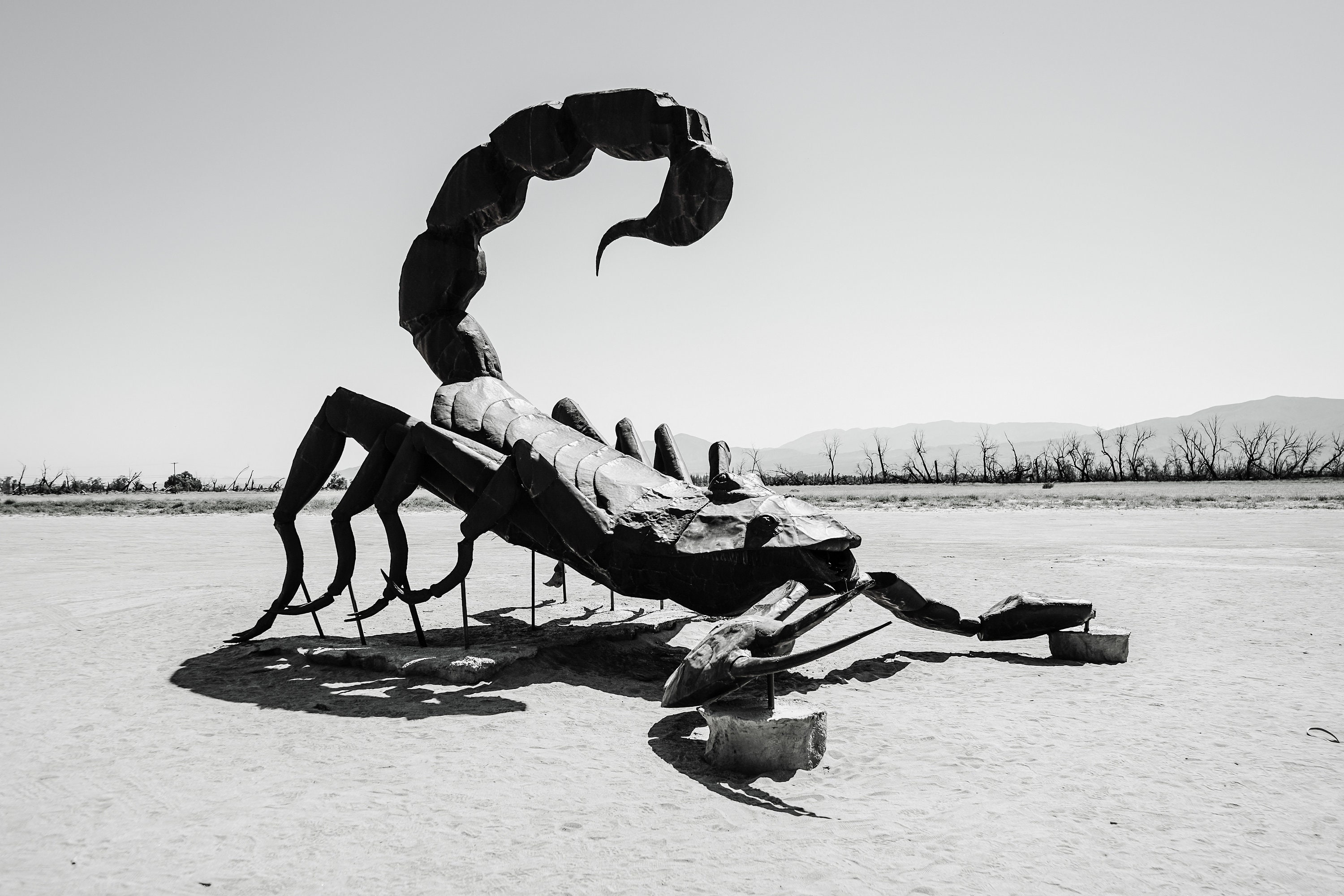 Buy Scorpion Metal Sculpture Borrego Springs Desert Socal Online in India -  Etsy
